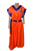 Roupa Goku